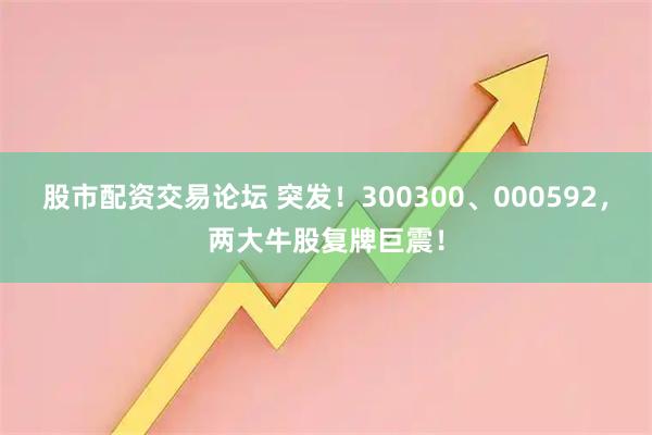 股市配资交易论坛 突发！300300、000592，两大牛股复牌巨震！